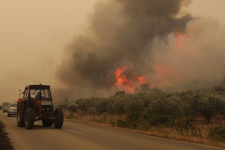 Φωτιά στον Έβρο: Συνεχείς αναζωπυρώσεις στο μέτωπο της Αλεξανδρούπολης