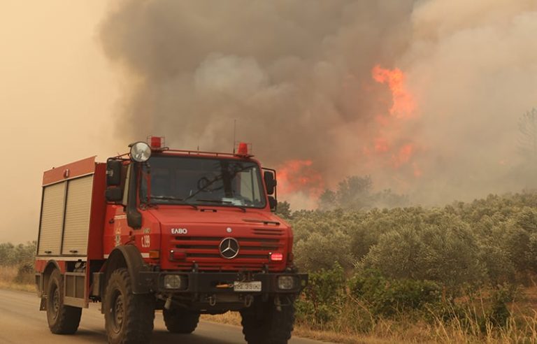 Ξέσπασε φωτιά σε δασική έκταση στον Άγιο Μεσσαπίων Ευβοίας