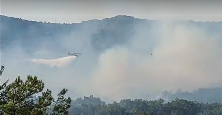 Φωτιά στην Αλεξανδρούπολη: Συνεχίζεται η «μάχη» με τις φλόγες κόντρα στους ισχυρούς ανέμους