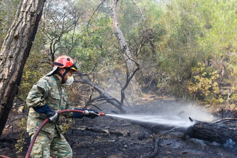 Ροδόπη: Φωτιά σε δασική έκταση στον Ίασμο