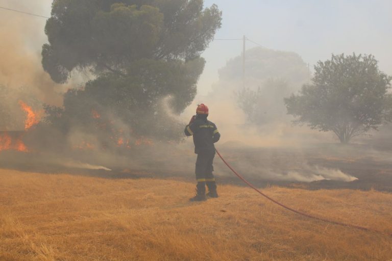 Φωτιά στον Προφήτη Ηλία στα Ψαχνά Ευβοίας