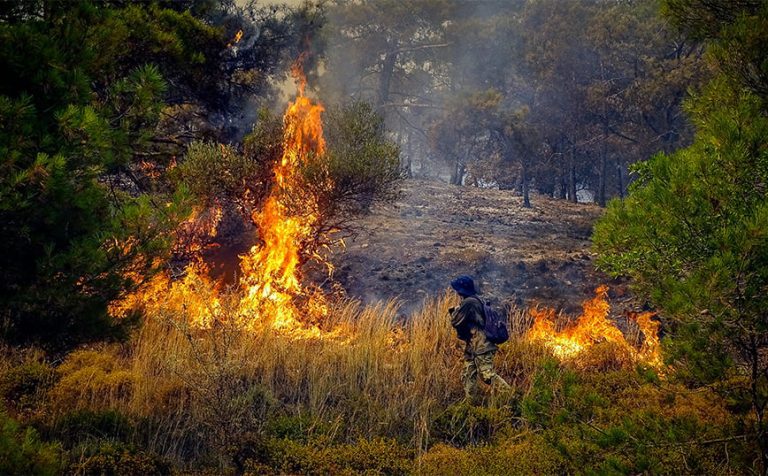 Φωτιά στην Καβάλα: Δύο πυροσβέστες στο νοσοκομείο με εγκαύματα – Προς εκκένωση οι οικισμοί Δαμασκηνιά, Εκλεκτό, Αβραμυλιά