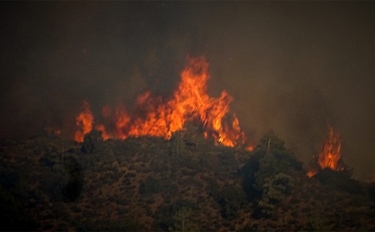 Σαράντι Βοιωτίας: Μεγάλη φωτιά και δύσκολη νύχτα