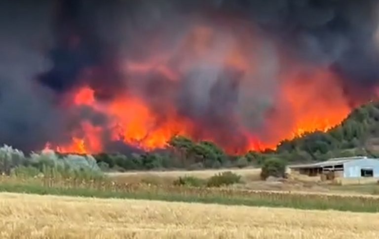 Μεγάλη φωτιά στην Αλεξανδρούπολη: Αναζωπύρωση στη Νίψα – Κινδυνεύει η έκταση βόρεια της Εγνατίας