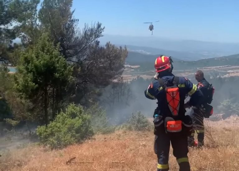Συλλήψεις για εμπρησμό στη Λάρισα και την Κάρυστο