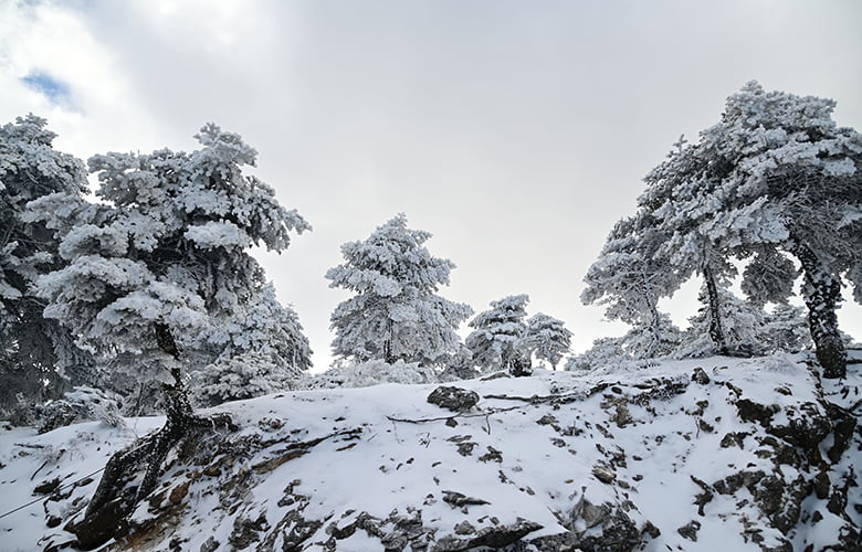 Έρχεται η κακοκαιρία «Alexis» – Πότε και πού ανεμένονται χιόνια