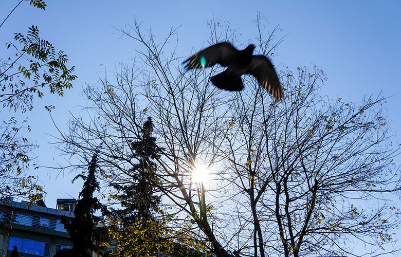 Καιρός: Καλές συνθήκες στο μεγαλύτερο μέρος της χώρας