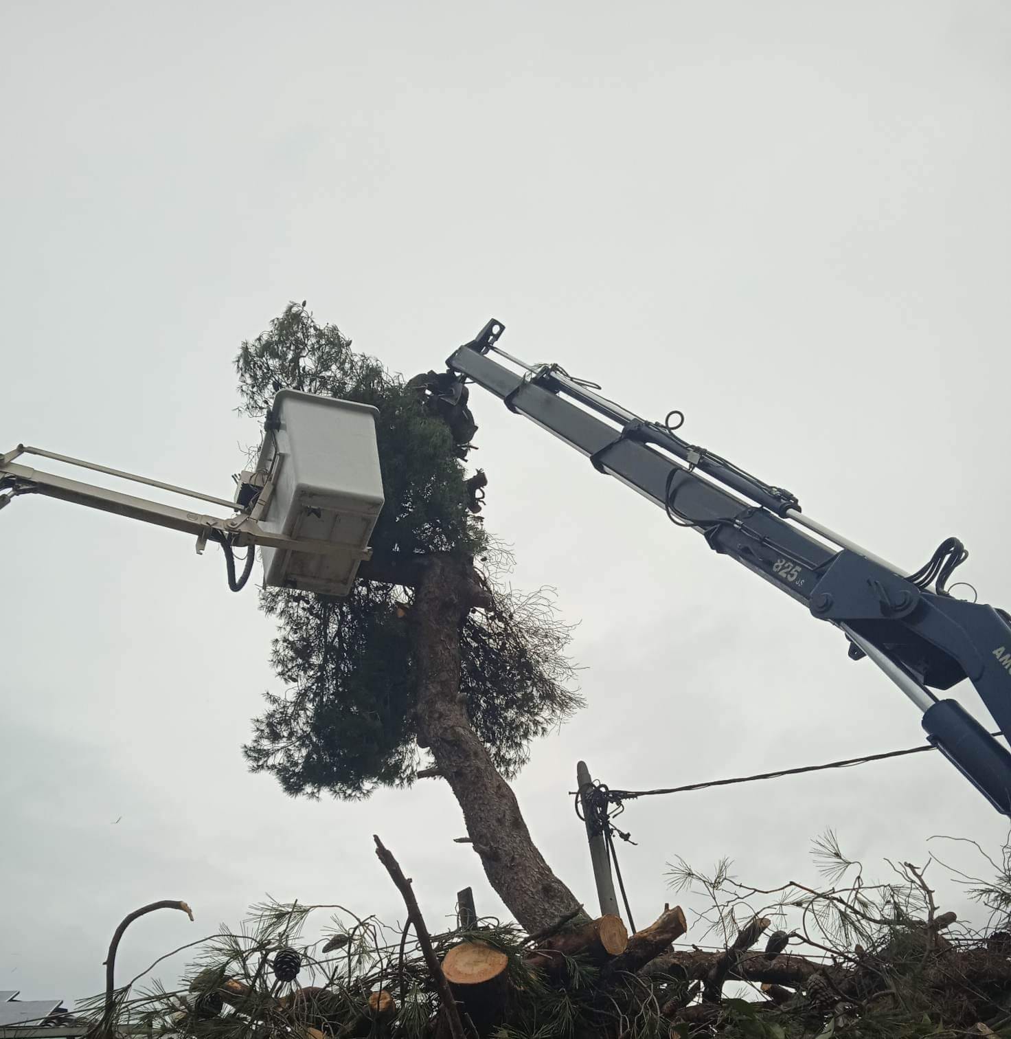 ΠΡΟΓΡΑΜΜΑ ΚΛΑΔΕΜΑΤΟΣ ΣΕ ΚΟΙΝΟΧΡΗΣΤΟΥΣ ΧΩΡΟΥΣ