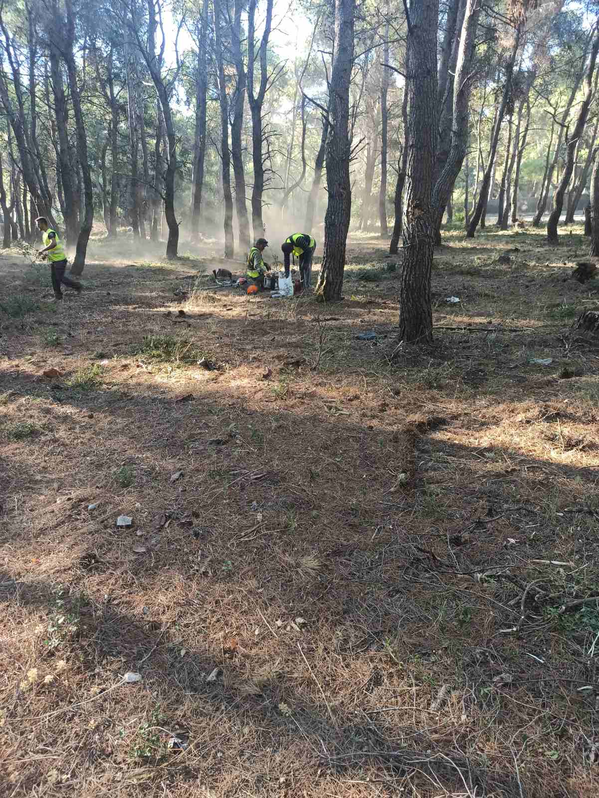 ΣΥΝΕΧΙΖΟΝΤΑΙ ΟΙ ΚΑΘΑΡΙΣΜΟΙ ΑΠΟ ΤΟΝ ΔΗΜΟ ΚΗΦΙΣΙΑΣ