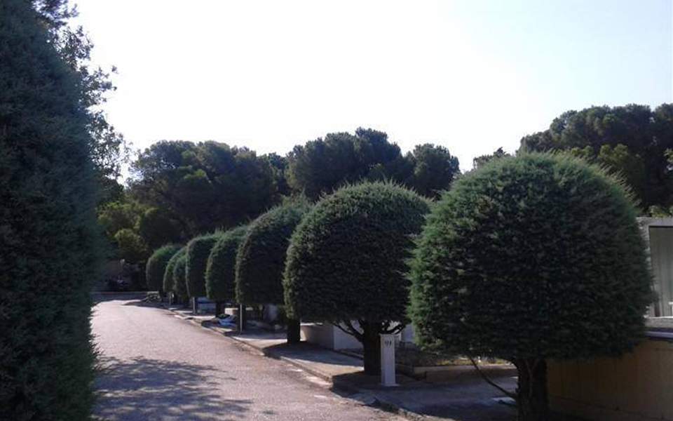 Ανακοίνωση για το Κοιμητήριο Κηφισιάς