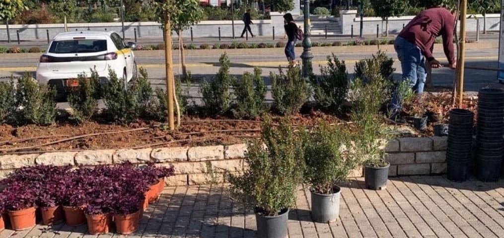 Φυτεύσεις εποχικών λουλουδιών και αναπλάσεις πρασίνου από τον Δήμο Πειραιά