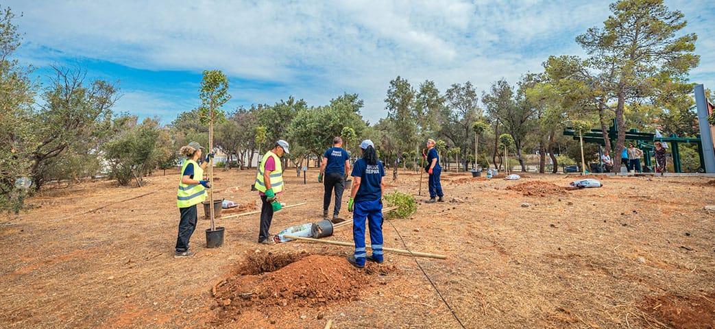 70 νέα δέντρα φυτεύτηκαν από τον Δήμο Πειραιά με αφορμή την Παγκόσμια Ημέρα Περιβάλλοντος