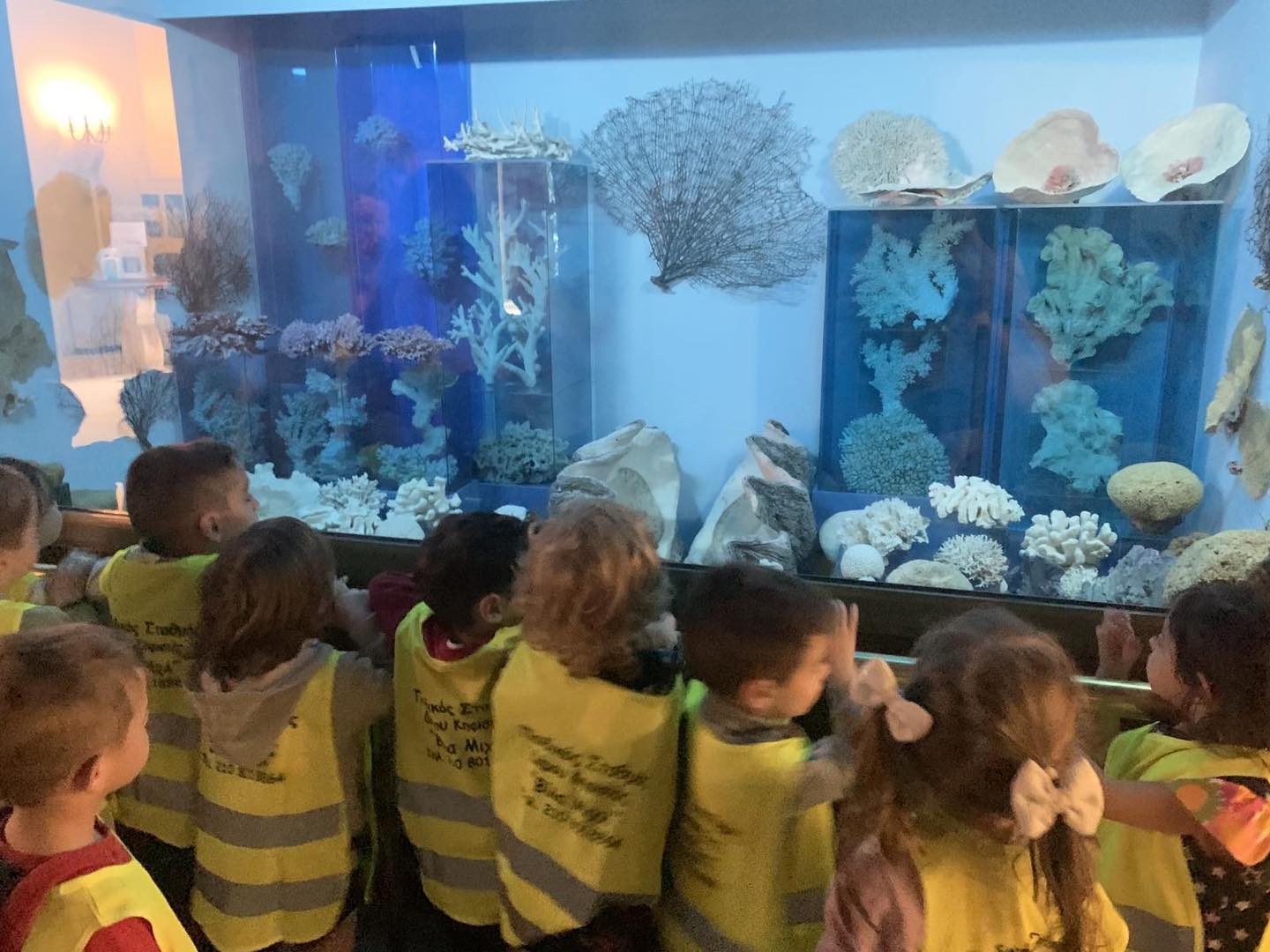 ΠΕΡΙΗΓΗΣΗ ΣΤΟ ΜΟΥΣΕΙΟ ΓΟΥΛΑΝΔΡΗ