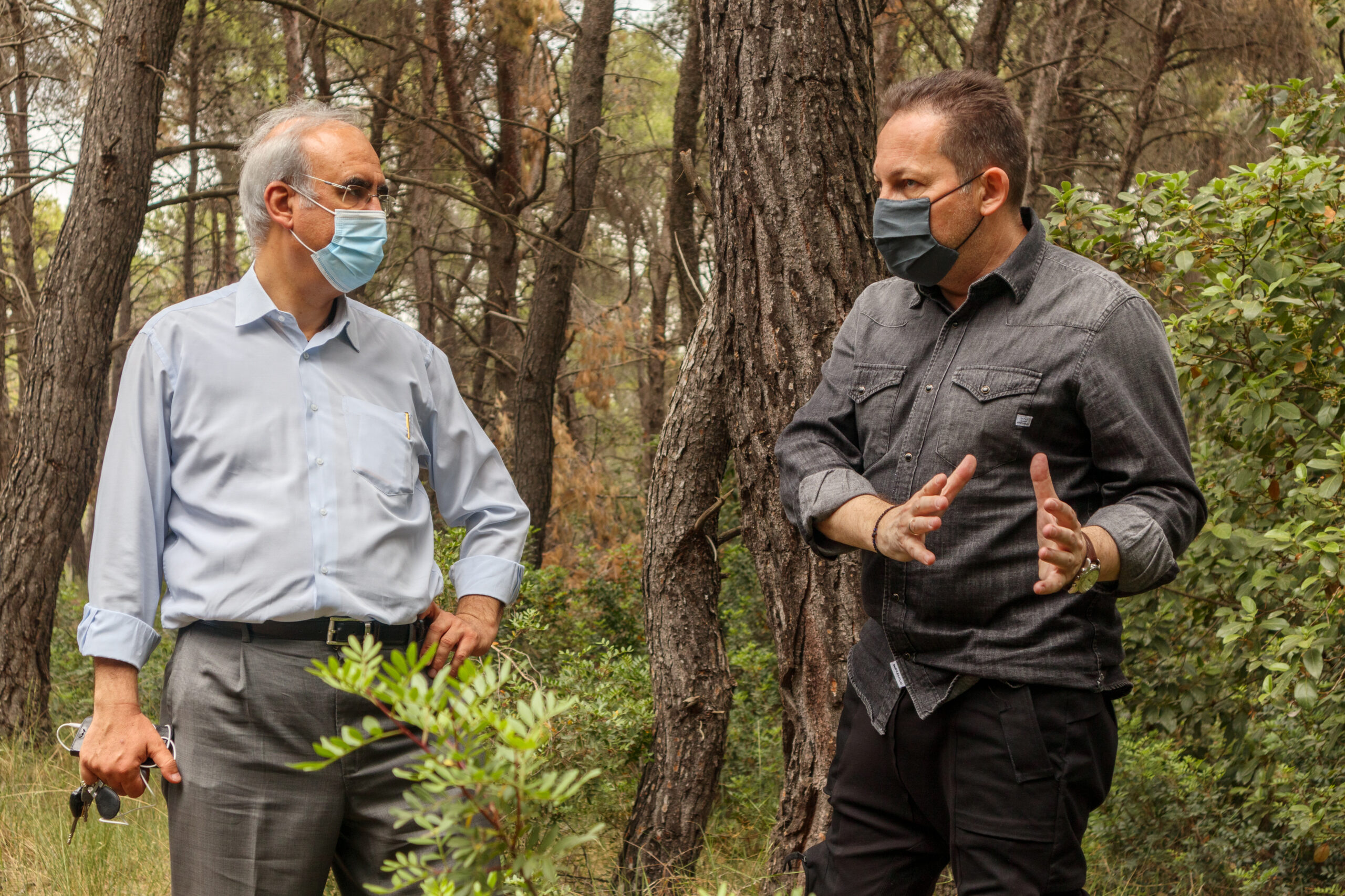 ΑΥΤΟΨΙΑ ΣΤΑ ΔΑΣΗ ΚΑΣΤΡΙΤΣΑΣ ΚΑΙ «ΦΑΣΙΔΕΡΙ»