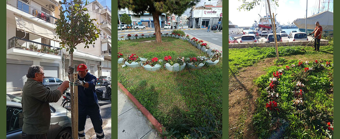 Νέες δενδροφυτεύσεις στα Καμίνια φέρνουν περισσότερο πράσινο στις γειτονιές του Πειραιά