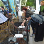 Μία ημέρα με το κατοικίδιο μου στην Καλλιθέα – Δήμος Καλλιθέας