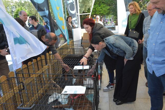Μία ημέρα με το κατοικίδιο μου στην Καλλιθέα – Δήμος Καλλιθέας