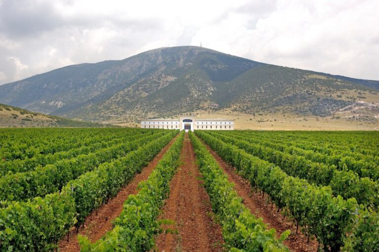 Εκρηκτική Συνεργασία: Το One&Only Aesthesis Εγκαινιάζει τα Wine Series με το Κτήμα Παυλίδη