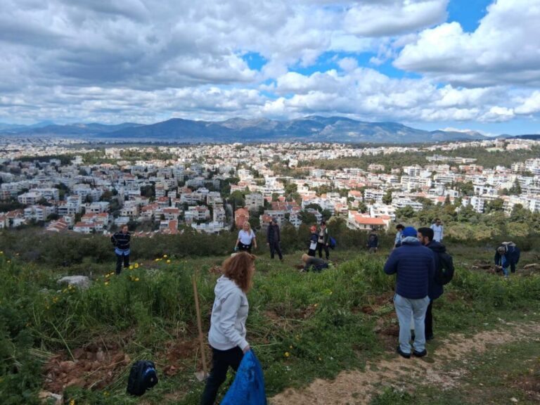 100 νέες βελανιδιές φυτεύτηκαν στα Άνω Βριλήσσια