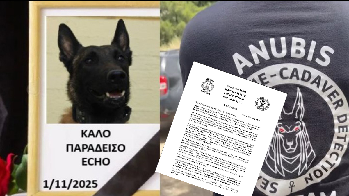 AnubisK9: Τοξικολογικές εξετάσεις ρίχνουν φως στον θάνατο του Echo – Καταγγελίες για πιέσεις
