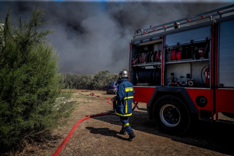 Φωτιά σε χαμηλή βλάστηση στη Χαλκίδα: Άμεση κινητοποίηση πυροσβεστικών δυνάμεων