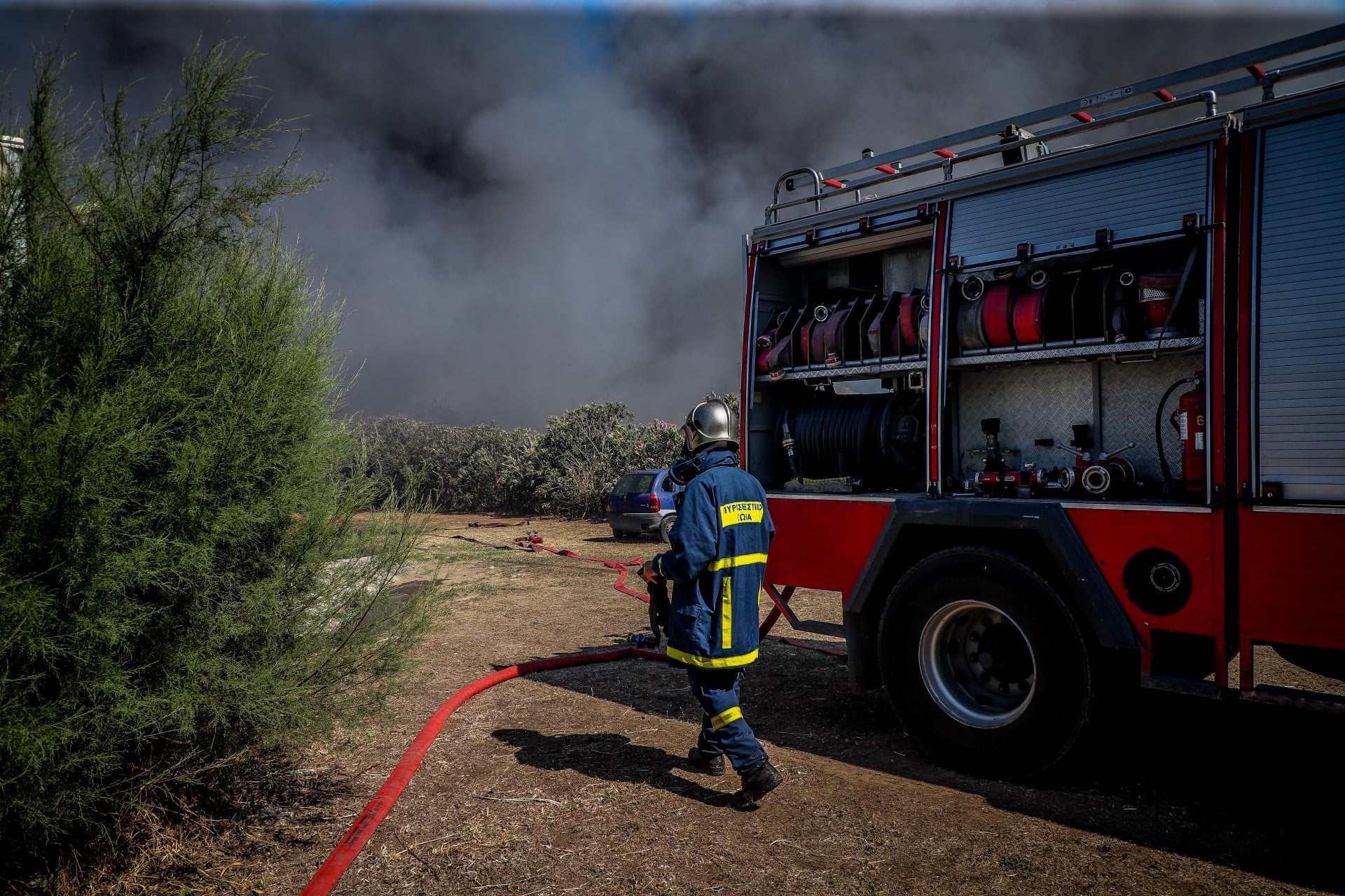 Φωτιά σε χαμηλή βλάστηση στη Χαλκίδα: Άμεση κινητοποίηση πυροσβεστικών δυνάμεων