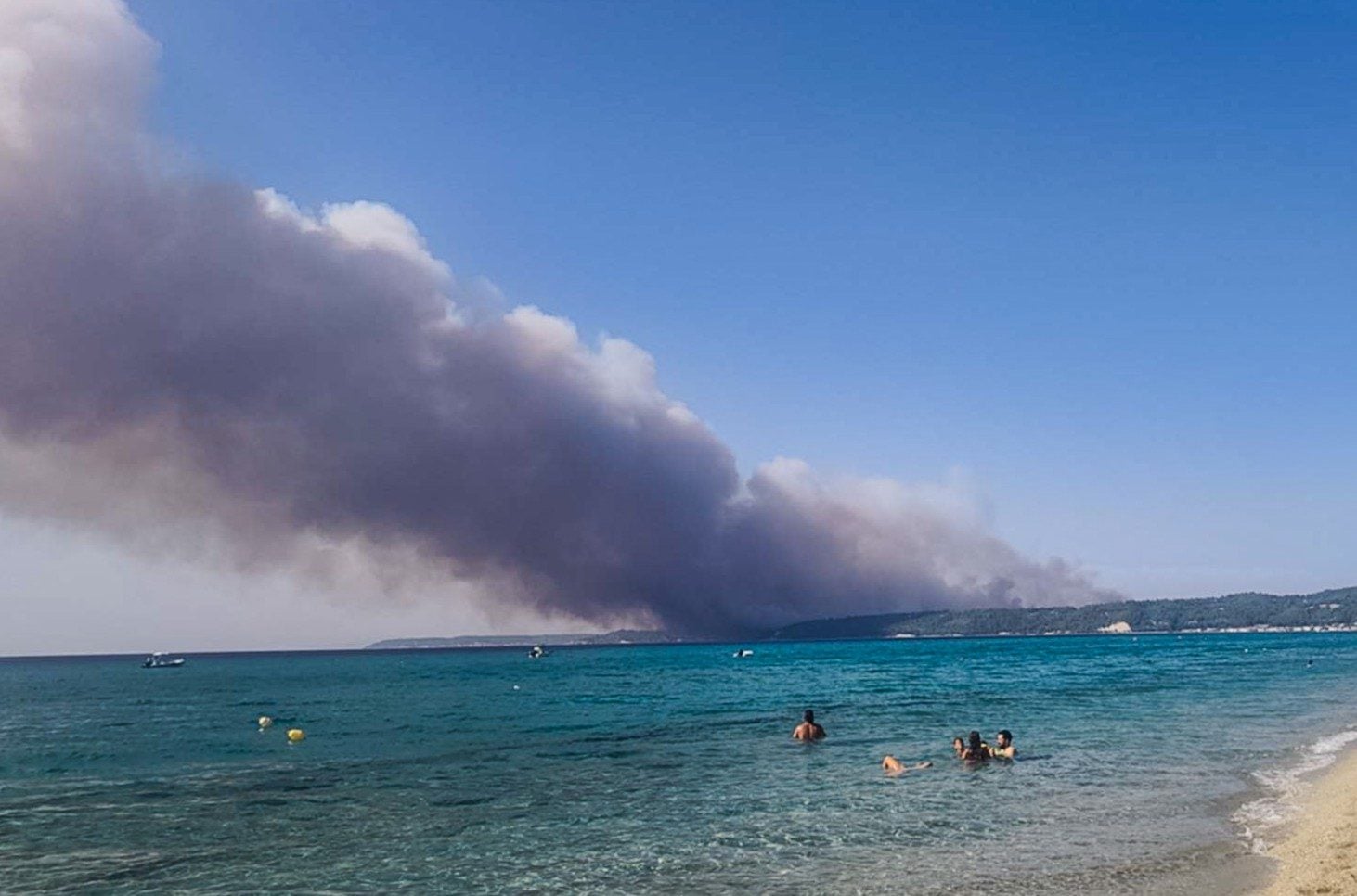 Χαλκιδική: Δέντρο στο ρεύμα, πιθανή αιτία της μεγάλης φωτιάς