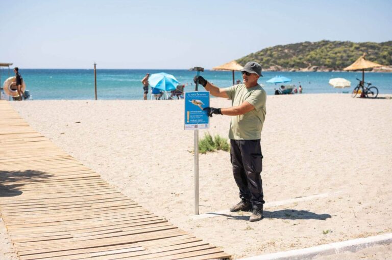 Σαρωνικός: Προειδοποιήσεις για θαλάσσιες χελώνες σε παραλίες