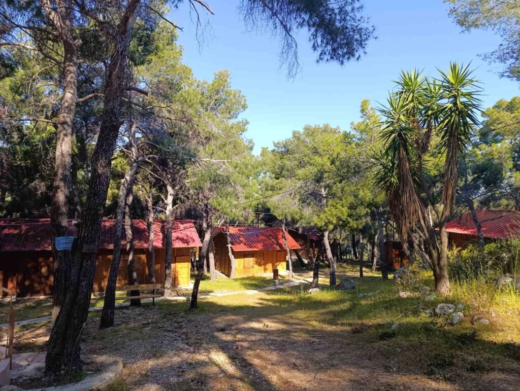 κατασκήνωση.jpg