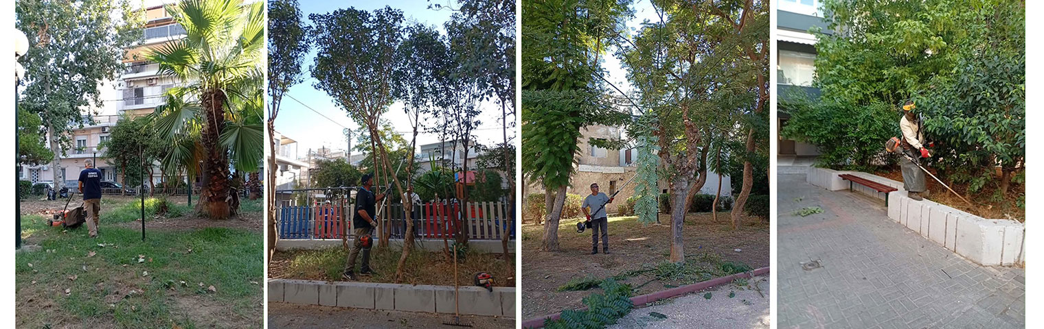 Σε εξέλιξη οι εποχικές κλαδεύσεις και οι εργασίες συντήρησης του πρασίνου στα Καμίνια και την Παλαιά Κοκκινιά από τον Δήμο Πειραιά